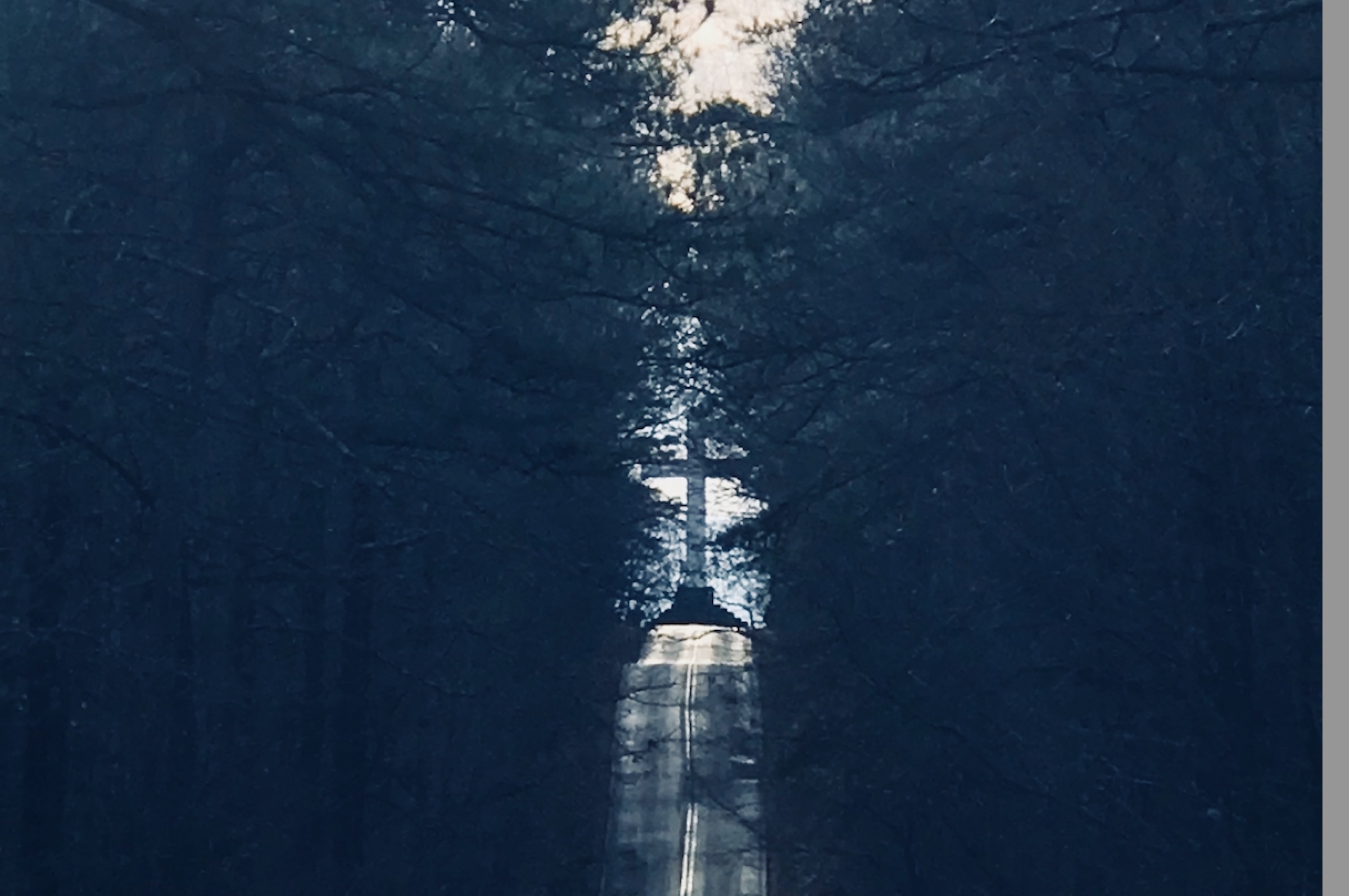 The Sewanee Memorial Cross at the end of a dark forest road — light breaking through the canopy on the Domain