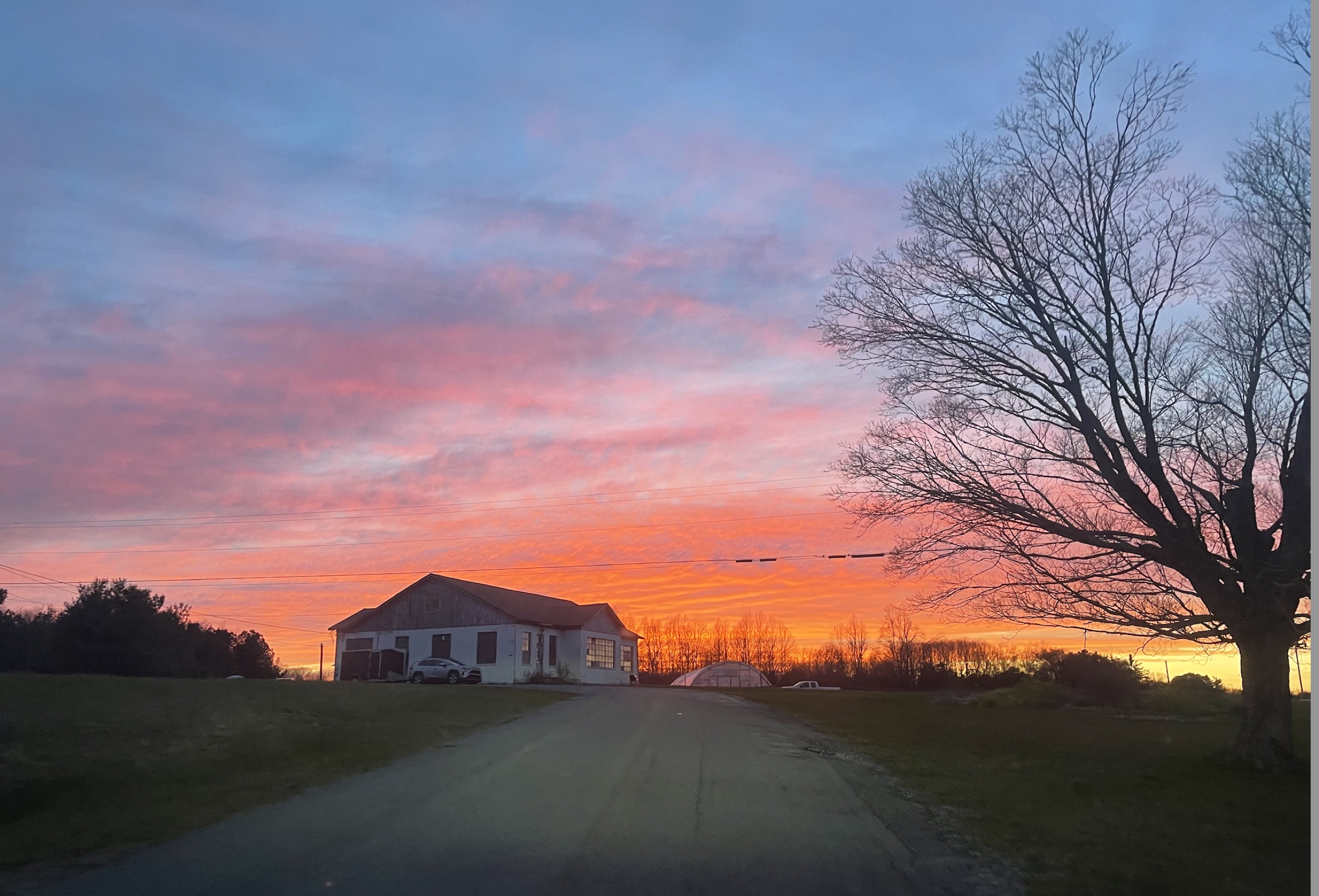 Blazing orange and pink sunset over the Cumberland Plateau with barn silhouette and bare winter tree